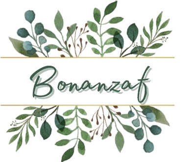 Bonanzafのブログ